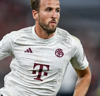 这是一种不 这是一种不