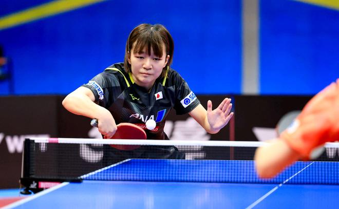 难忘的回忆 难忘的回忆